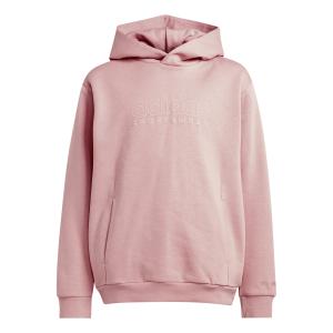 iv7116-sweatshirt-med-huva-for-barn-adidas-all-szn-graphics-sepisp