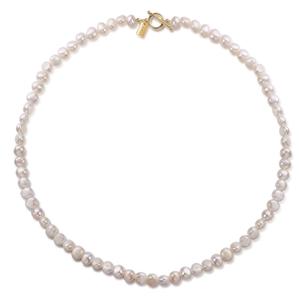 50361578-halsband-for-kvinnor-ailoria-sorano-guld-tu