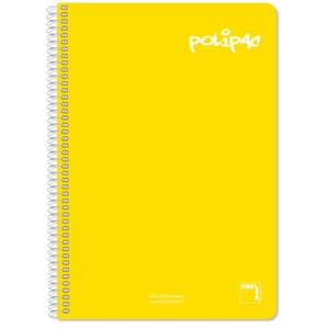 024244-forpackning-med-5-anteckningsblock-med-plastomslag-for-80-ark-alpino-mangfargad-21-5x31x5-cm
