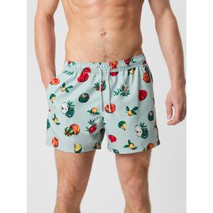 10004095-p0775-badshorts-med-tryck-bjorn-borg-bb-pumpkin-patch-big-1