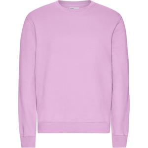 cs1005-cherryblossom-jumper-colorful-standard-classic-organic-cherry-blossom-korsbarsblomma