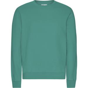 cs1005-pinegreen-jumper-colorful-standard-classic-organic-pine-green-tallgron