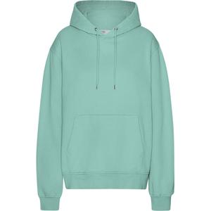 cs1006-seafoamgreen-sweatshirt-med-huva-colorful-standard-classic-organic-seafoam-green-seafoam-gron