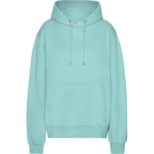 cs1006-tealblue-sweatshirt-med-huva-colorful-standard-classic-organic-teal-blue-blagron