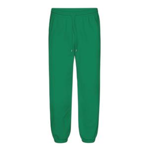 cs1019-kellygreen-langbyxor-colorful-standard-organic-2-0-kelly-green
