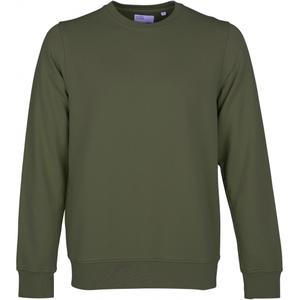 cs1005-seaweedgreen-sweatshirt-med-rund-halsringning-colorful-standard-classic-organic-seaweed-green-sjogras-gron