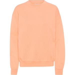 cs1012-paradisepeach-sweatshirt-med-rund-halsringning-colorful-standard-organic-oversized-paradise-peach-paradispersika