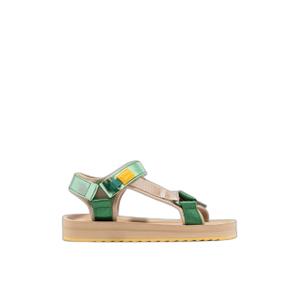 dfsh361009-sandaler-d-franklin-forest-neo-gron