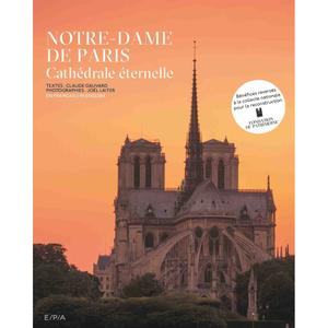 kb855booknotredamed-boka-notre-dame-de-paris-kubbick-gra-gron-28-63x2-74x34-65-cm