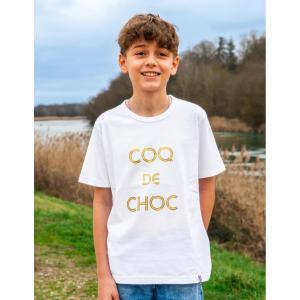 tshjog-t-shirt-for-pojkar-les-poulettes-fitness-family-vit-och-guld
