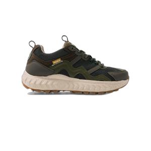 moea-basgn7-06-tranare-moea-gen7-cactus-full-green