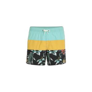 2800132-12022-badshorts-o-neill-mix-match-cali-block-15-gyllene-dis